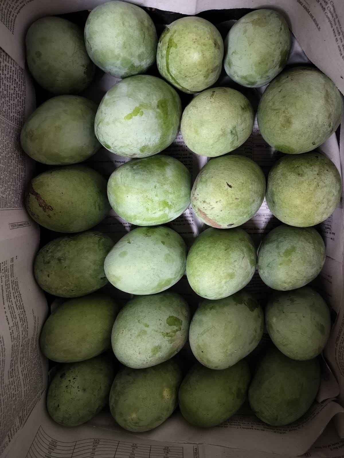 Mango Packaging